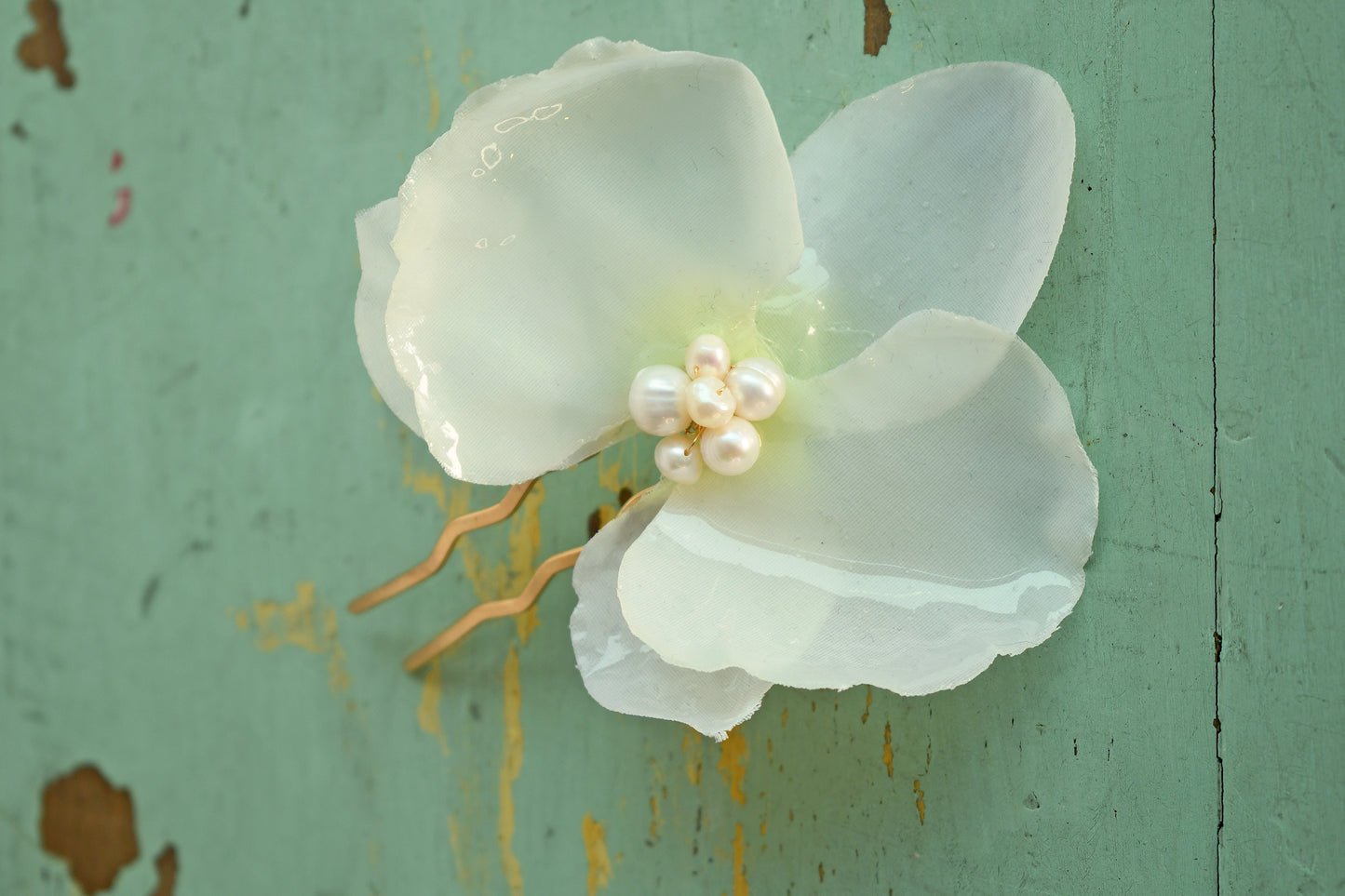 Orquidea Cristalizada