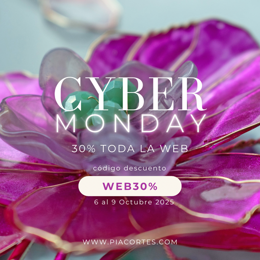 30% Cyber Monday