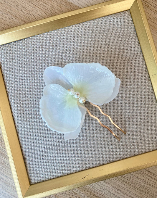 Orquidea Cristalizada