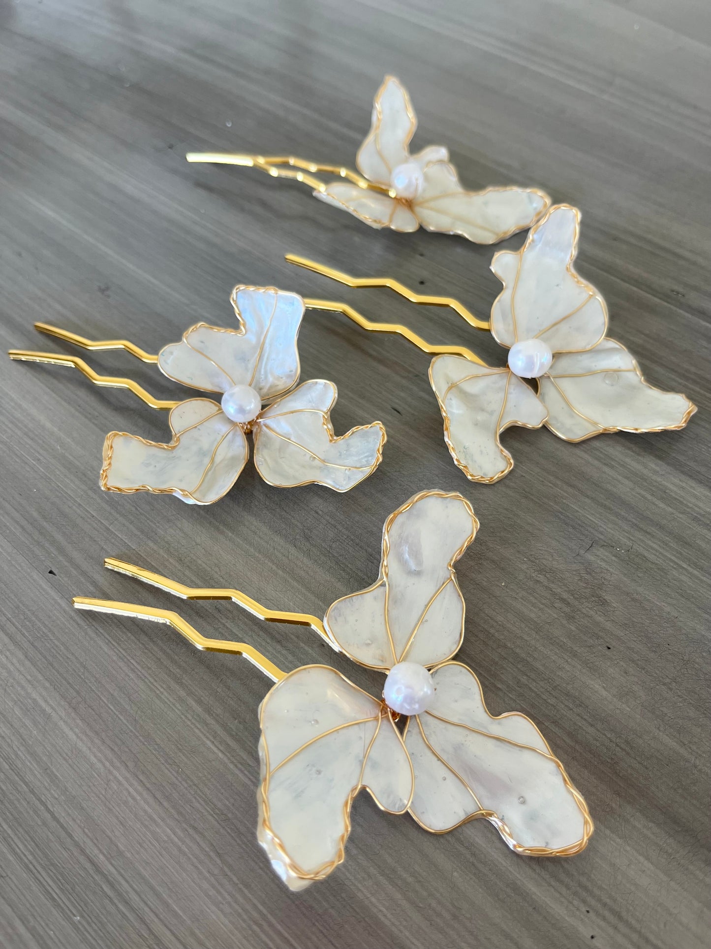 Pins Nacarado