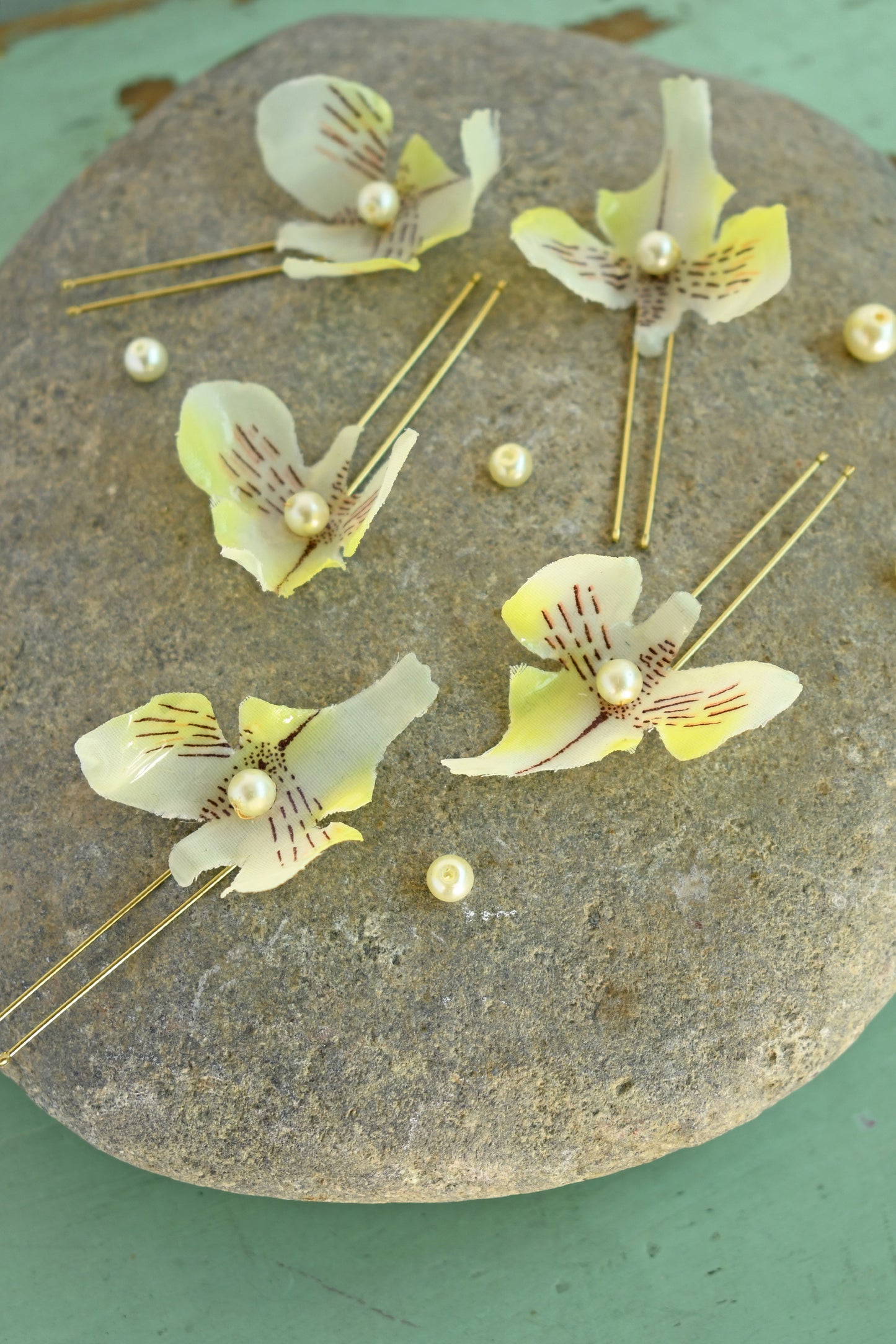 Pin 5 Orquidea mini
