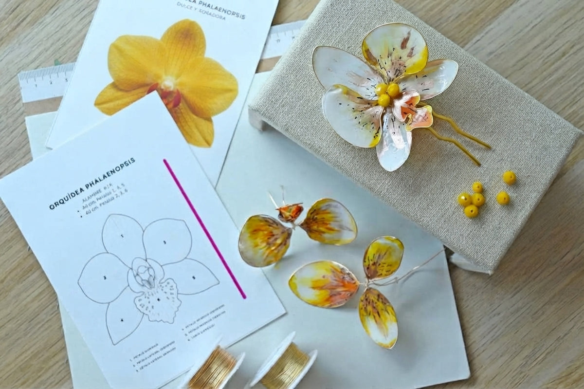 WORKSHOP "ORQUÍDEA ONLINE"